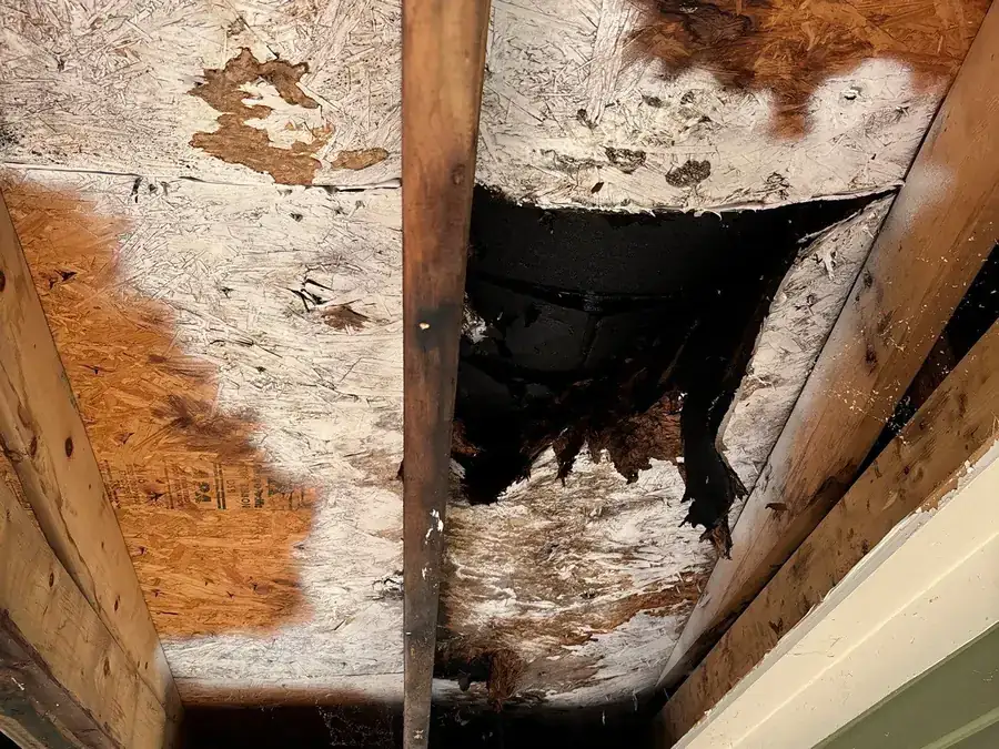 Rotten wood exposed under an eave, with the damage visible in the framing